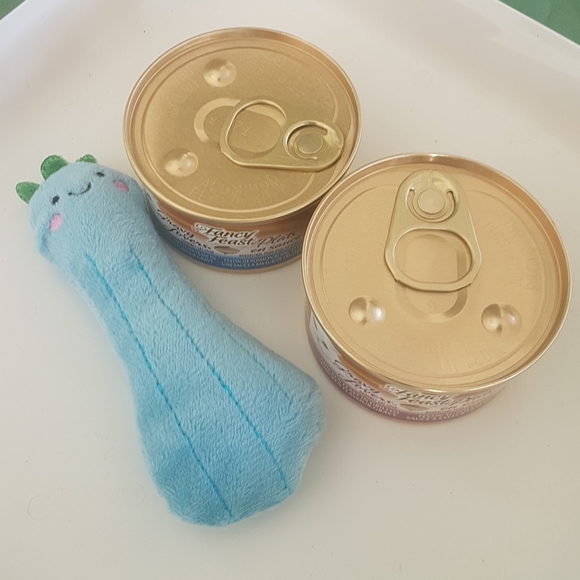 🐱 Luffa Cat Toy & Wet Food - Picture 2 of 3